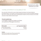 Salbei Wechseljahre